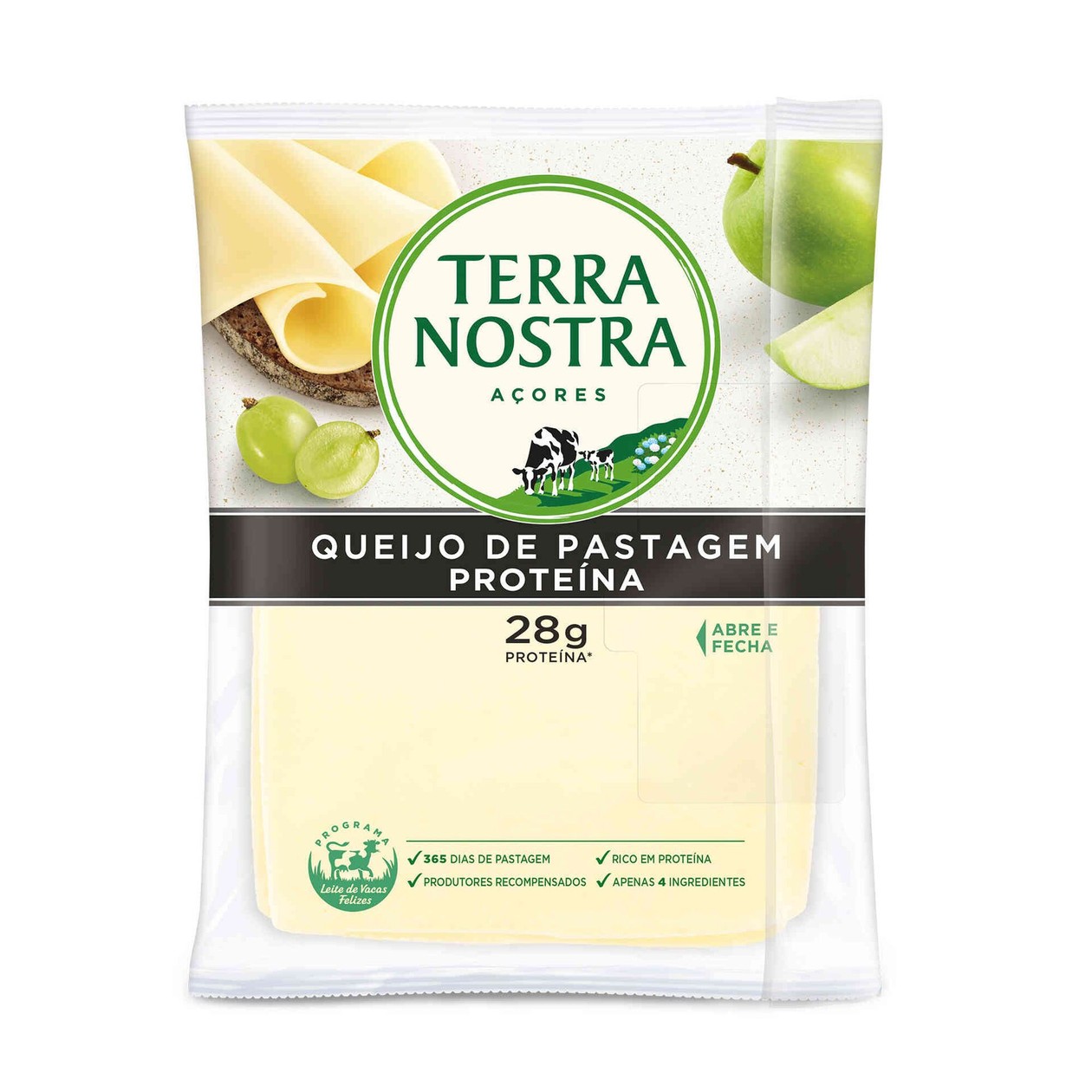 Queijo Flamengo Proteína Fatiado Terra Nostra 180 gr
