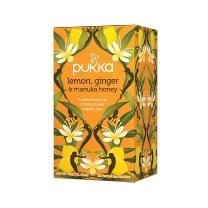 PUKKA Tee Sidruni-Ingveri-Meega 20pk