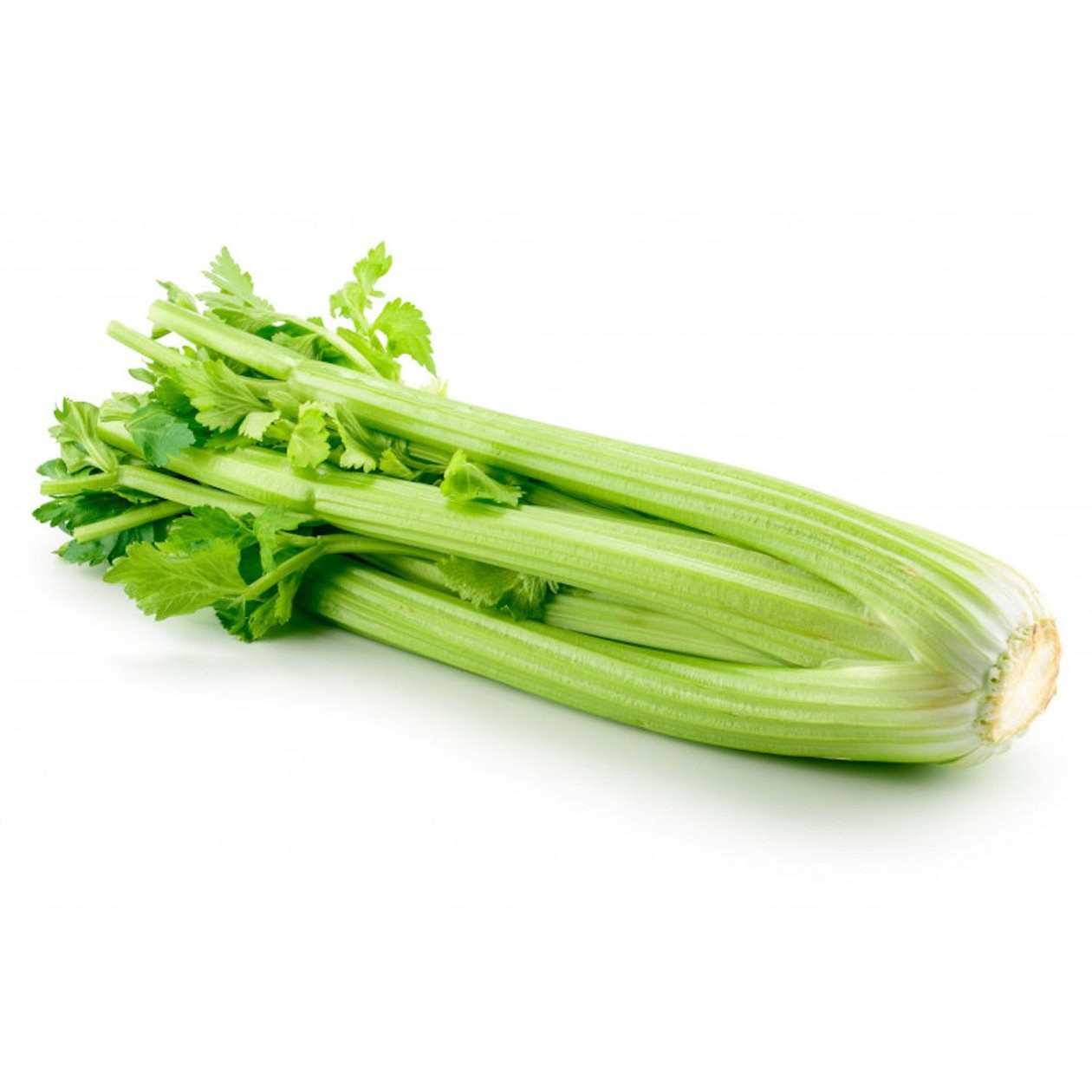 Celery, 1pc (expires soon)