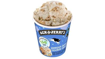 B&J Peanut Butter Coockie Dough pint 465ml