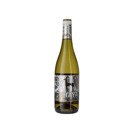 Shaya Verdejo