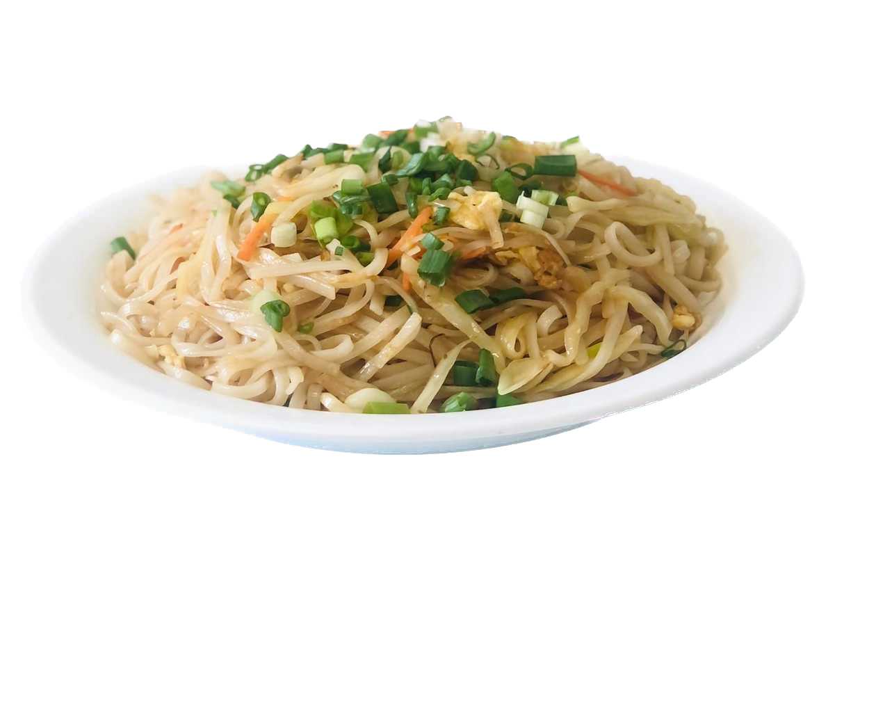40. Vegetable Rice Noodles