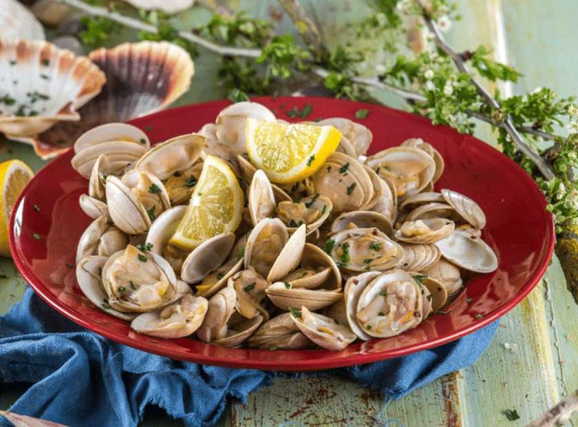 Clams