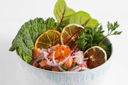 Ceviche Oshi