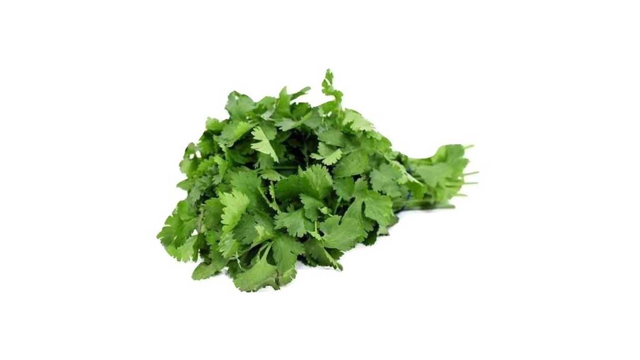 Coriander Bunch