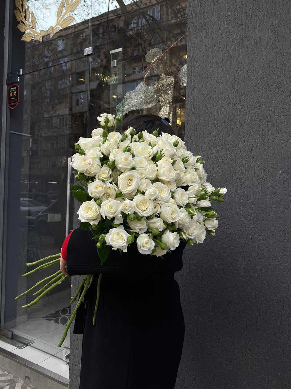 თეთრი მტრედი