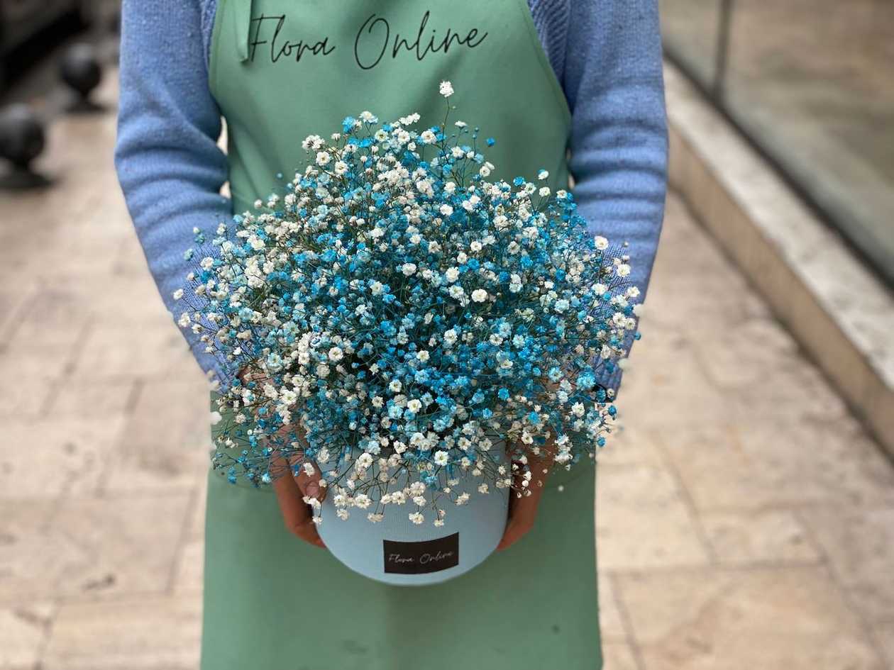 blue gypsophila