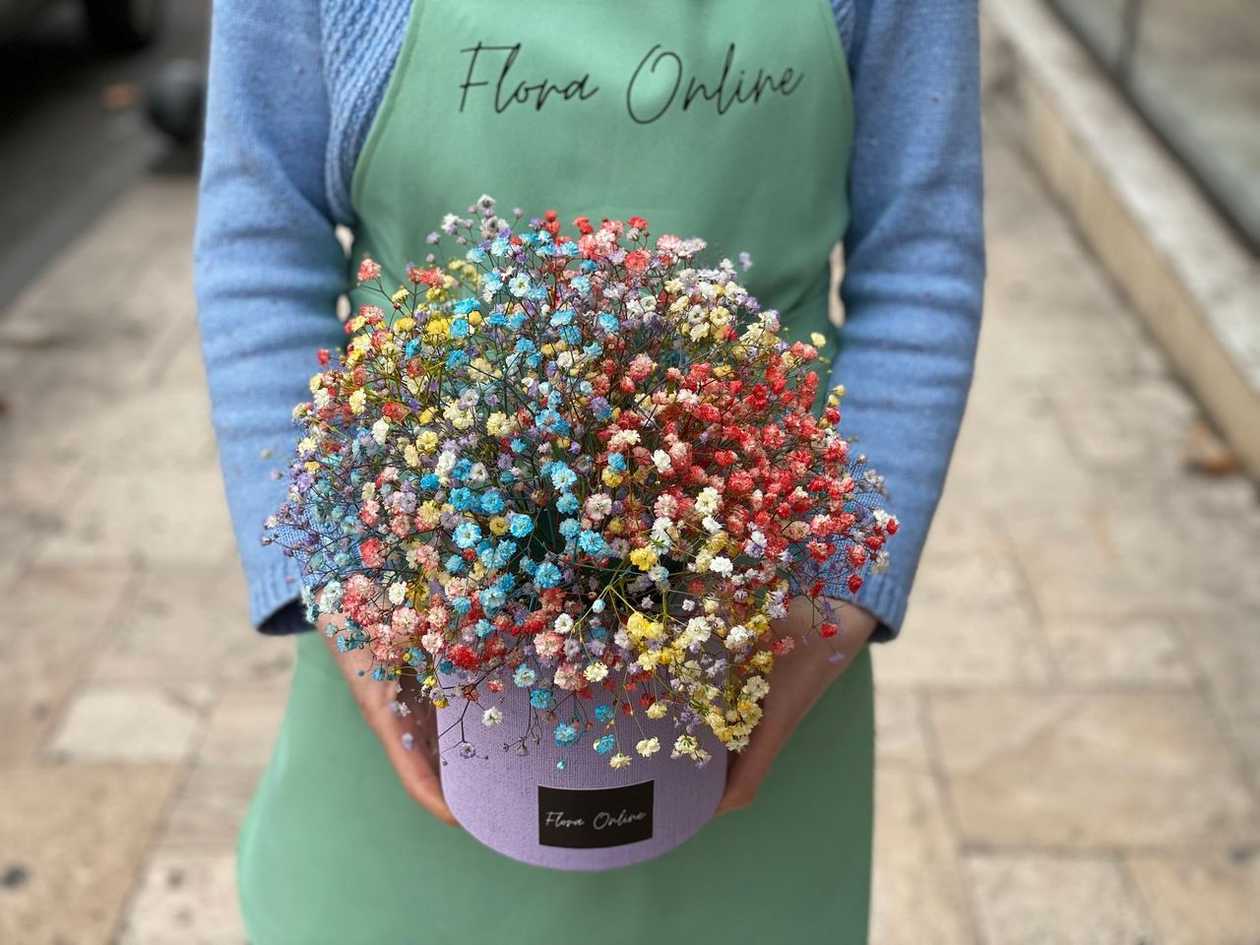 mix gypsophila