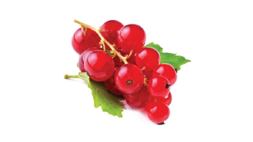 Rybíz červený vanička 500g