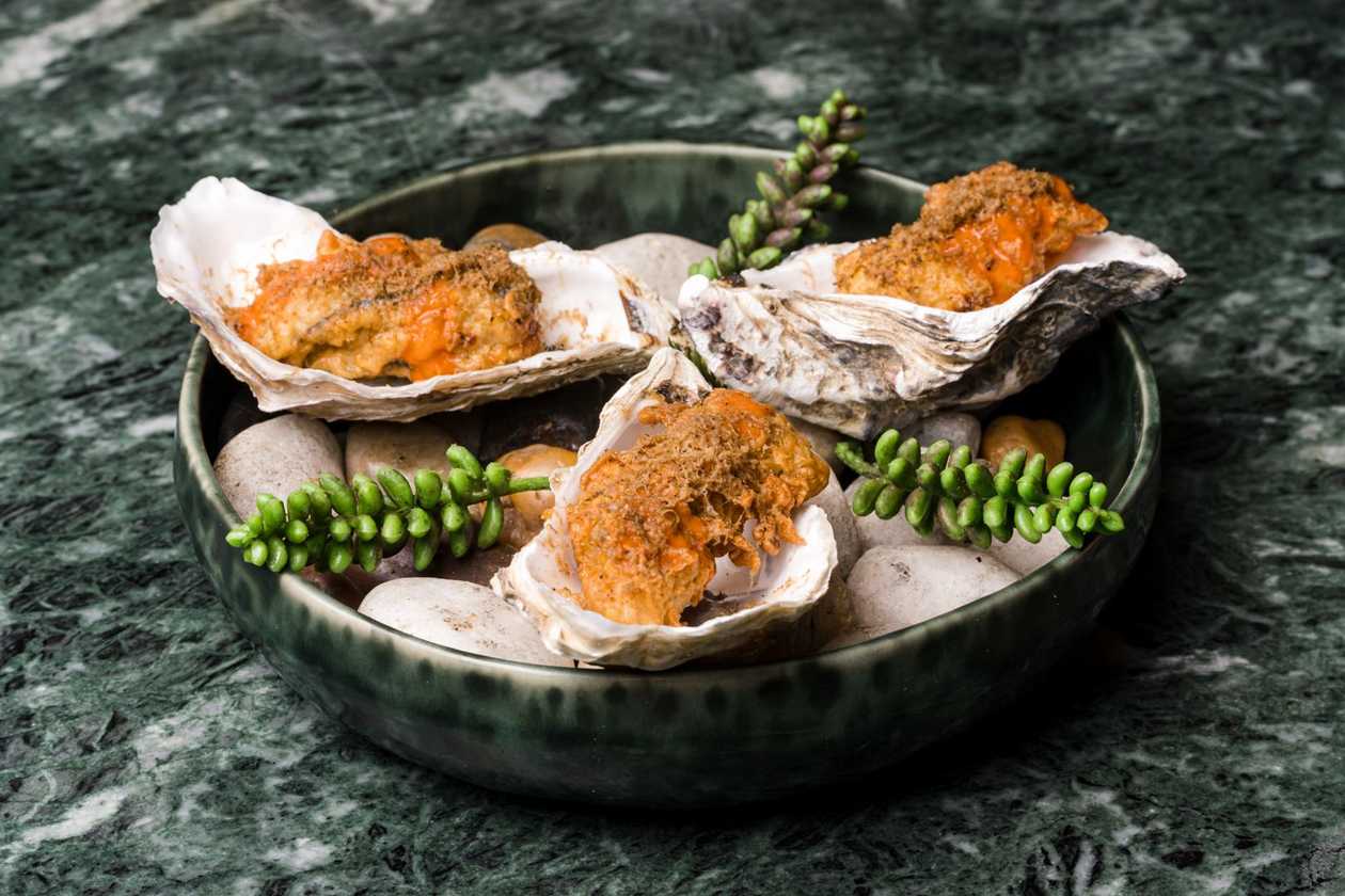 Fried Oysters