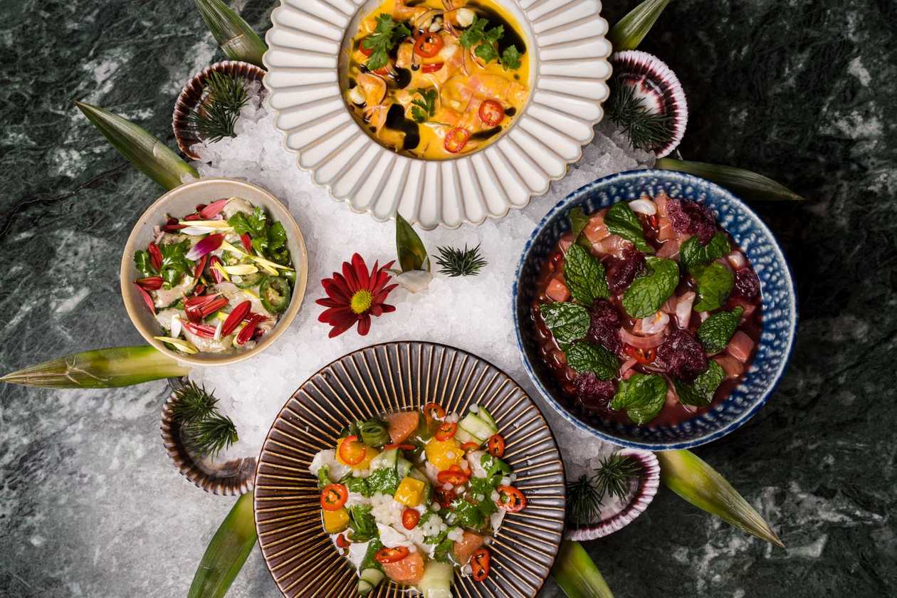 The Ceviche Experience