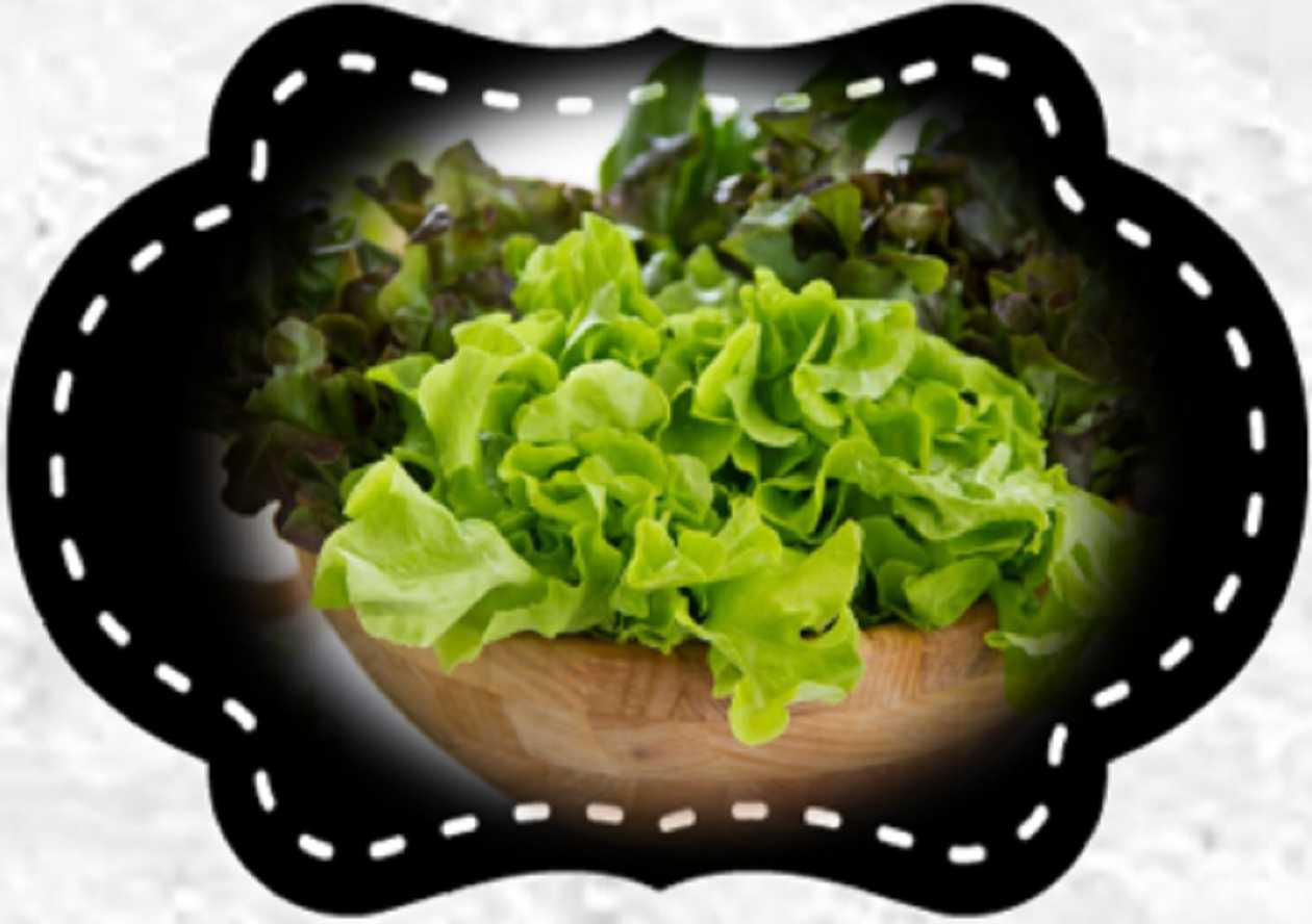 Green salad 100g