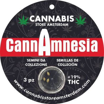 Seeds Cannamnesia 3 Seeds