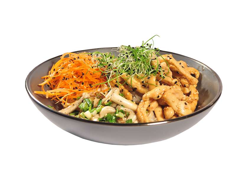 Tori donburi