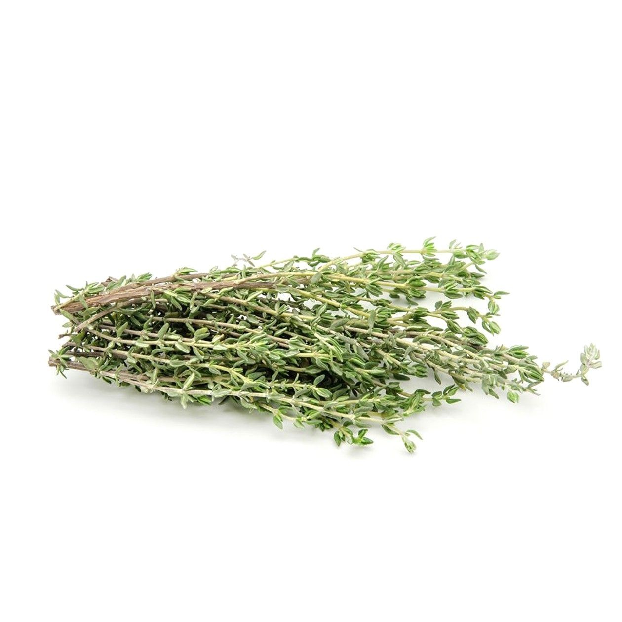 Packed Thyme, 15g (expires soon)