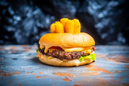 Mozzarella Burger