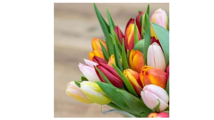 Beautiful tulip bouquet mix 25 pcs