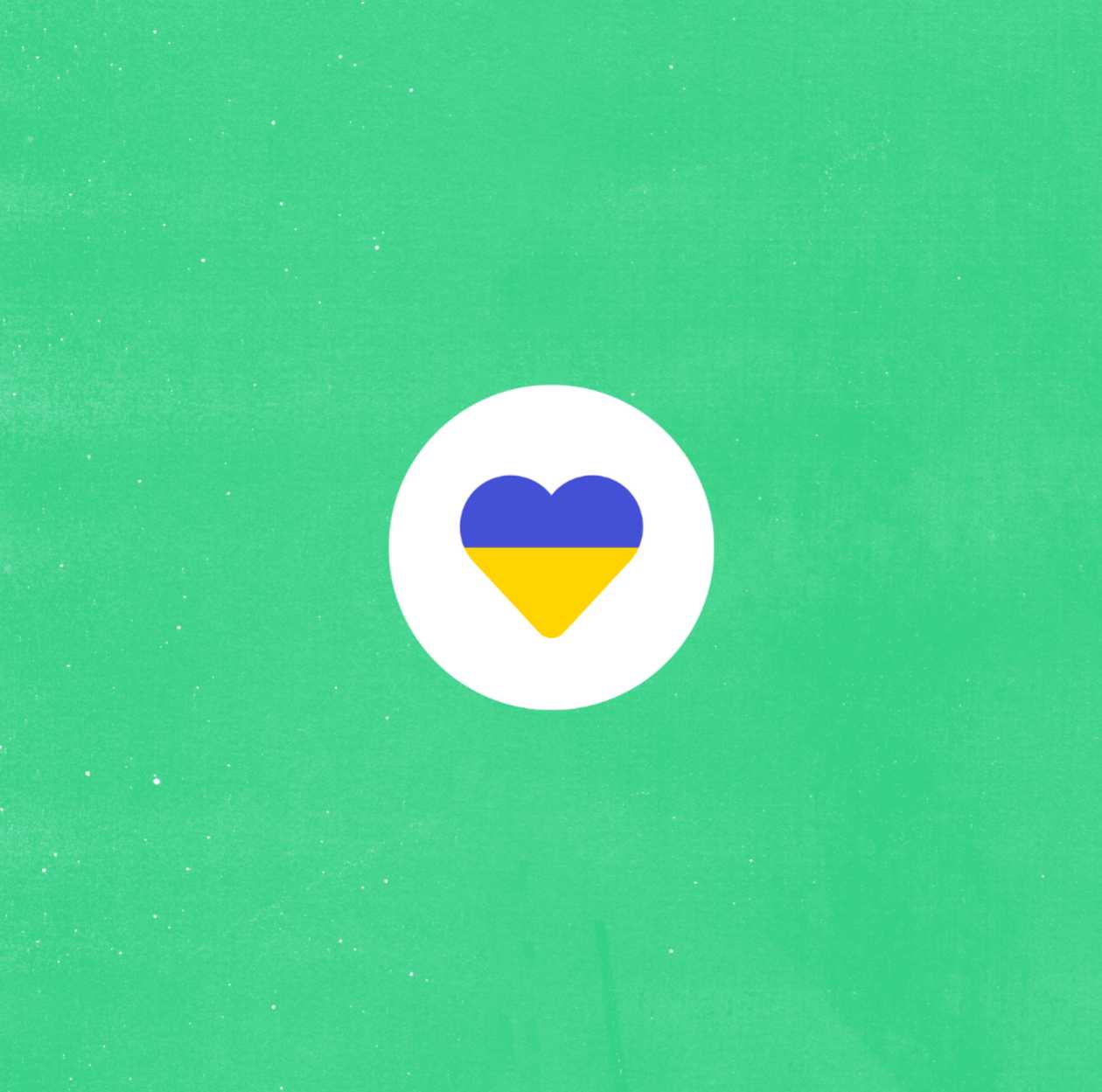 Донат бездомним котикам