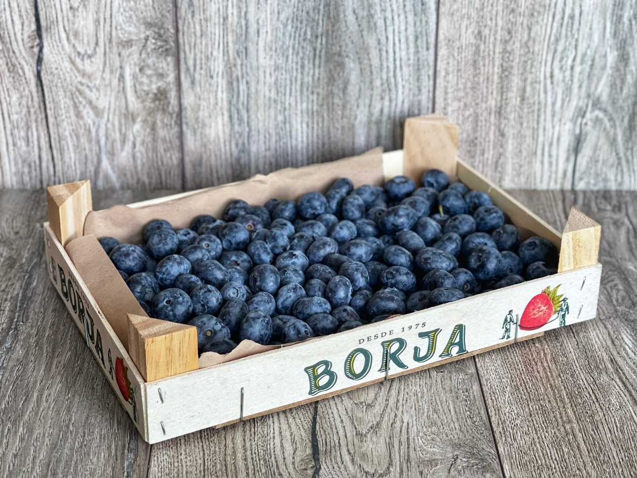 🔥  AKCIJA Dārza mellenes Latvija 🫐 [ 1 KG ]