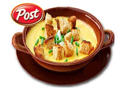 Boletus mushroom cream soup