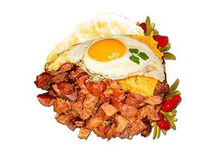 Grilled Pork or Chicken