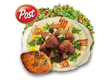 Hummus with falafel meal