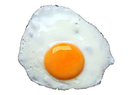 Egg
