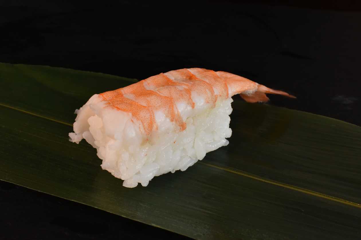 Shrimp nigiri