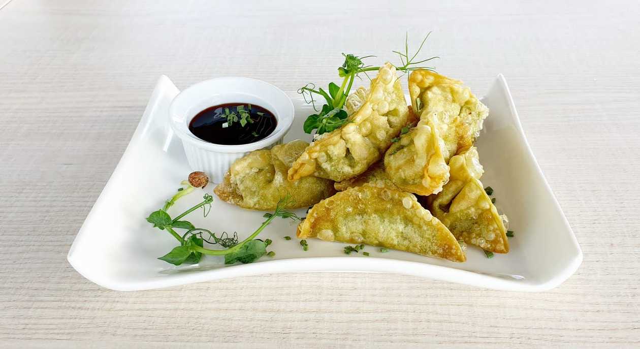 GYOZA Veg