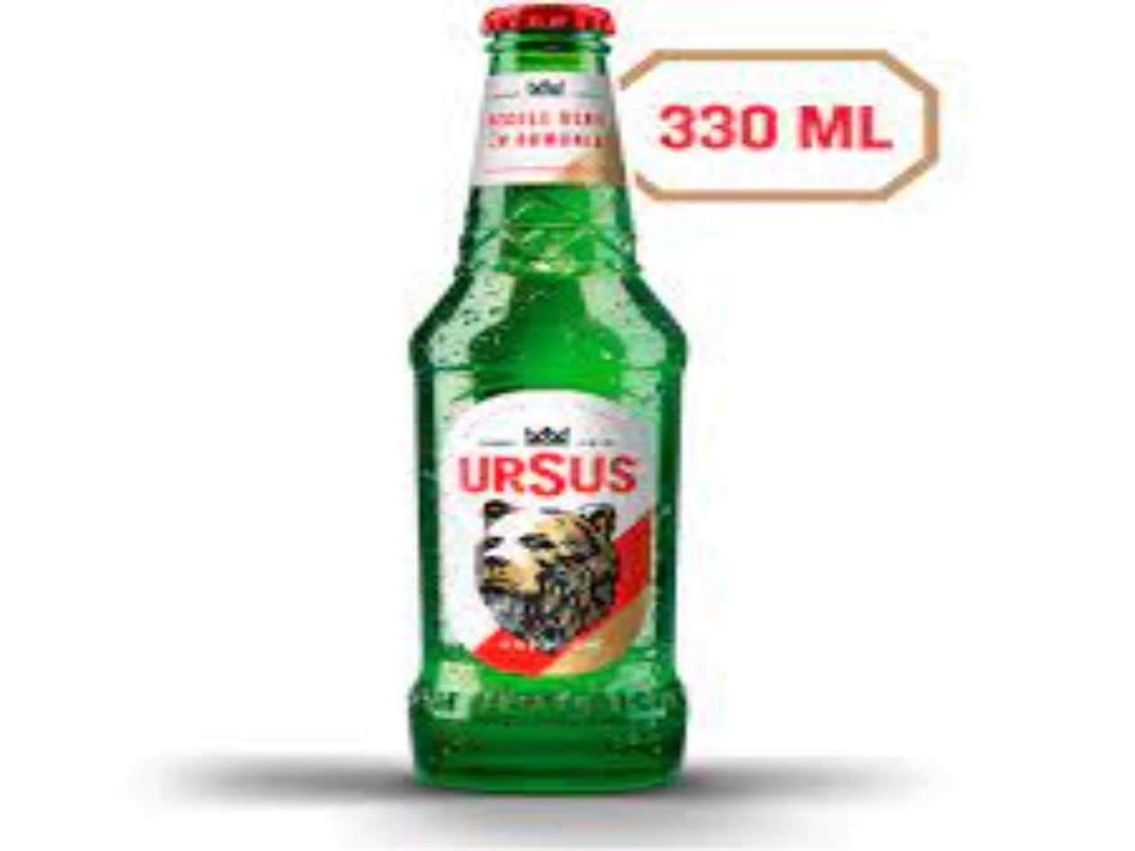 Ursus