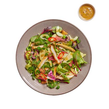 katsu salad with chicken