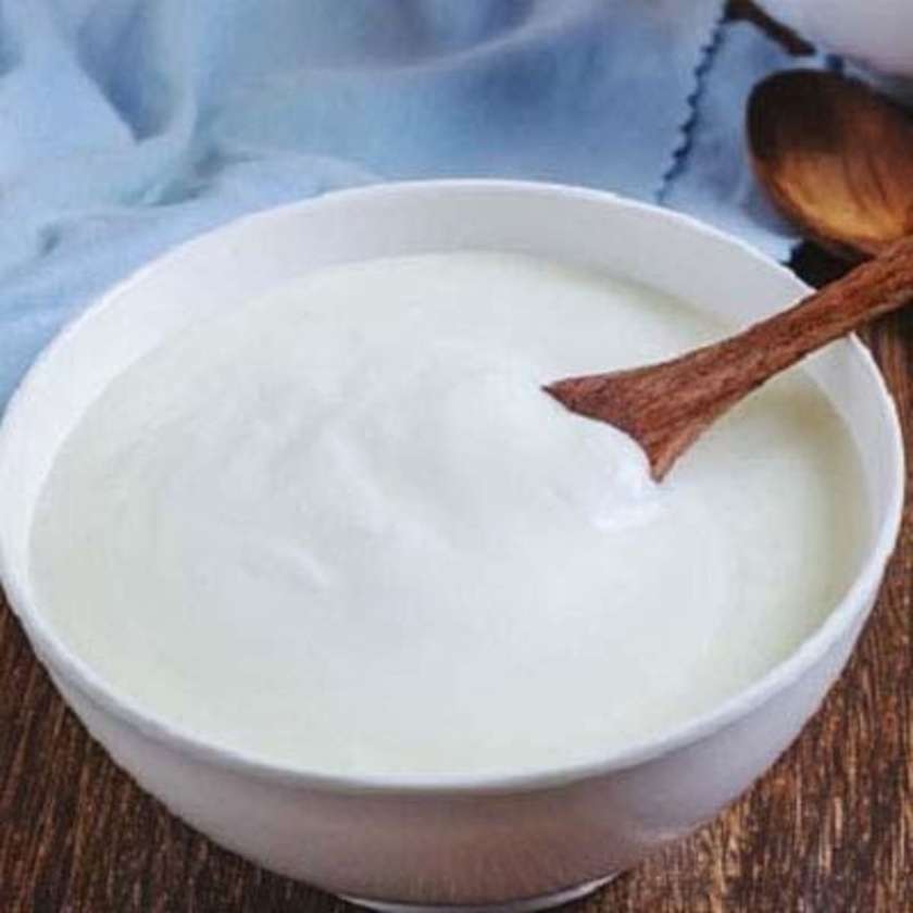 Plain Dahi