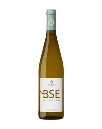 B S E 2021 White