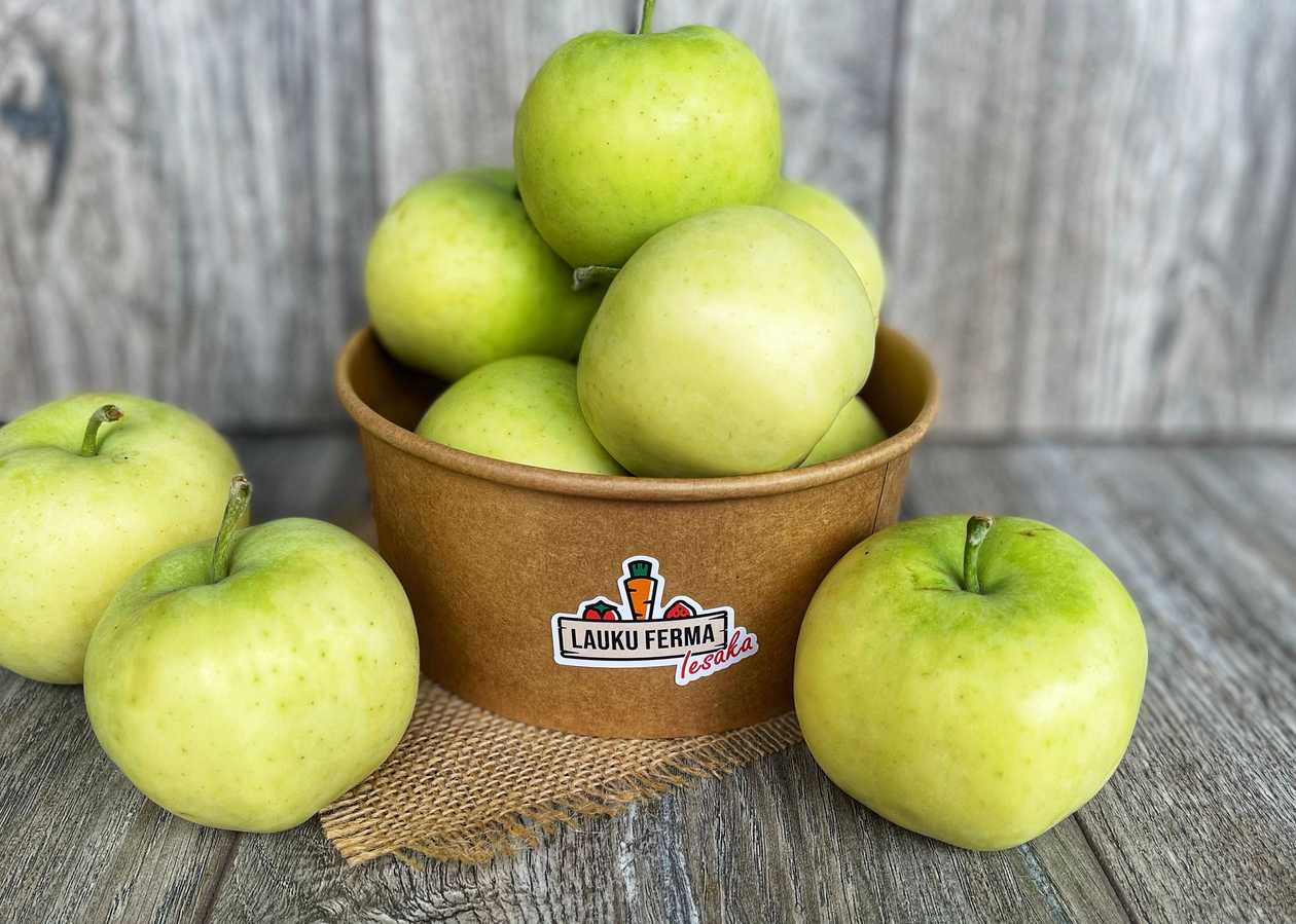 Āboli Jauna Raža “Baltais Dzidrais” [ 1 KG ]