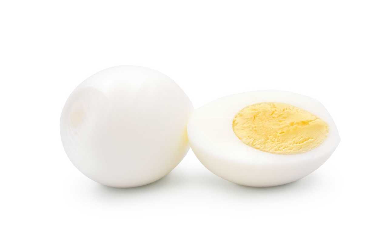 Egg