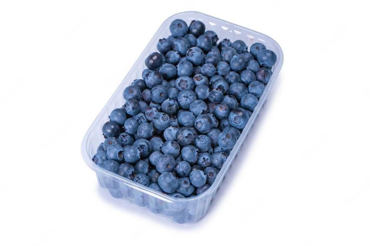 Šilauogės, 500g
