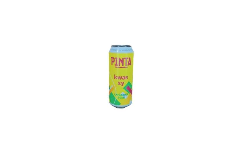 Kwas XY - Catharina Sour 0.5 L (PINTA)