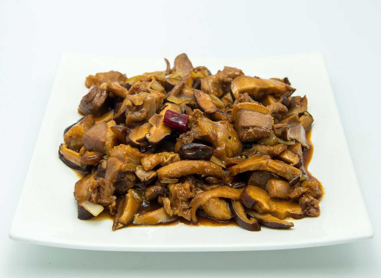 Duck in Chinese sauce