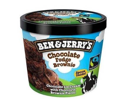 Ben and Jerry's Chocolate Fudge Brownie