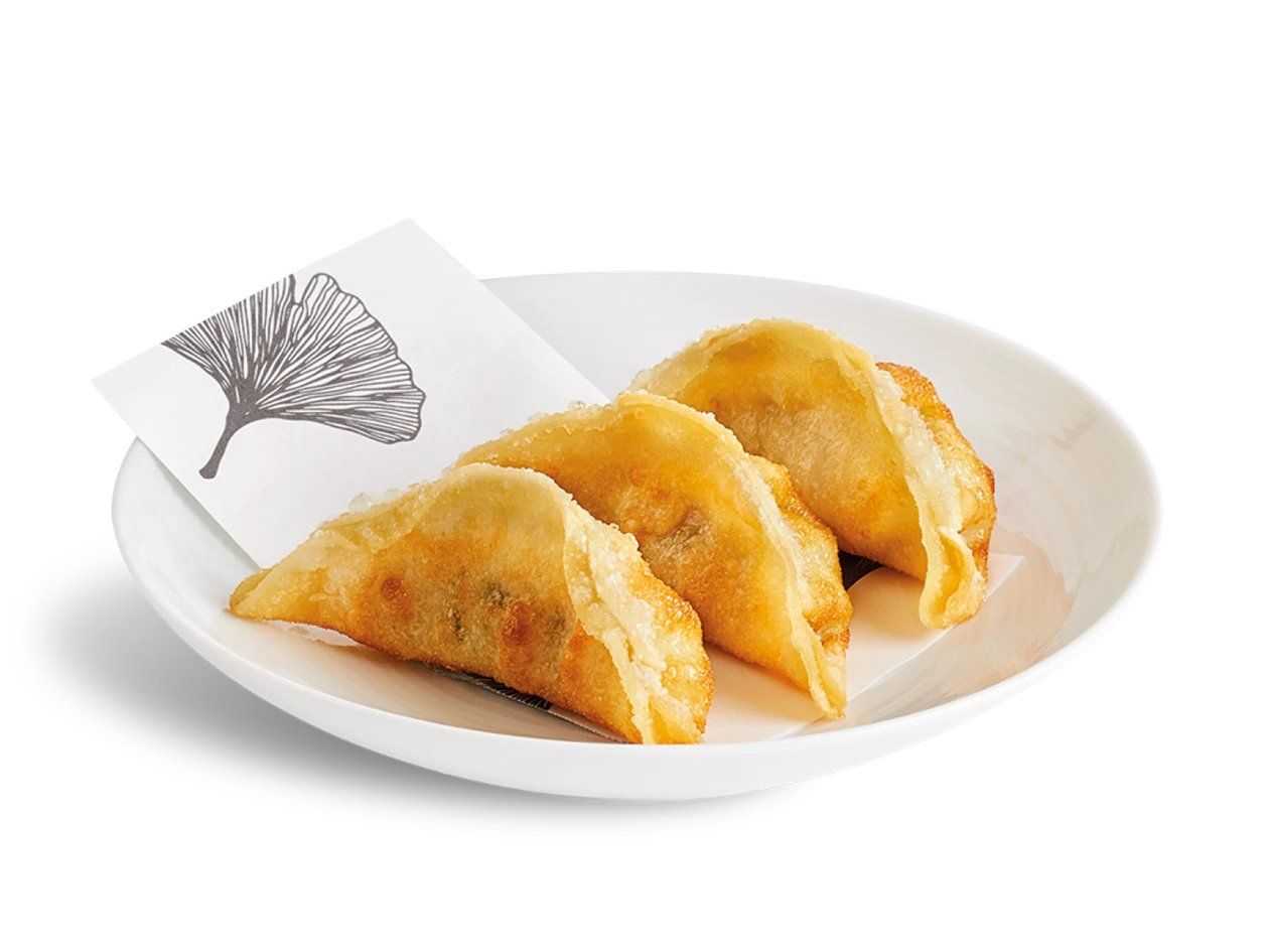 🎁2x1 - Chicken Dumpling 5