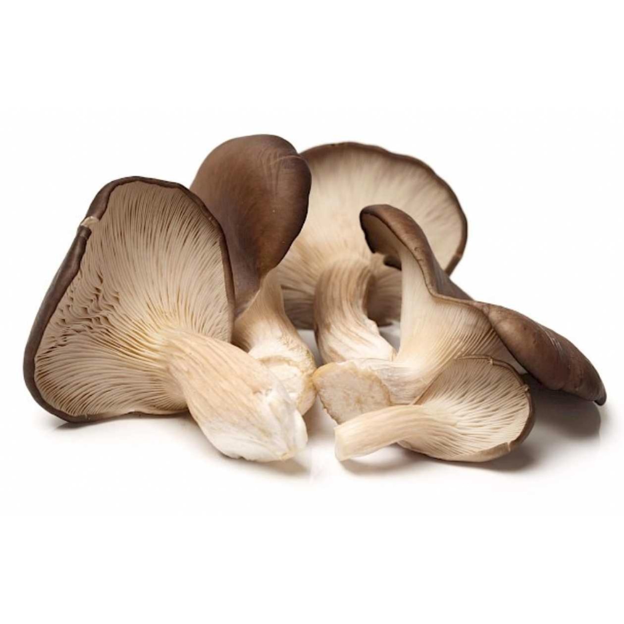 Boczniaki 250g (expires soon)