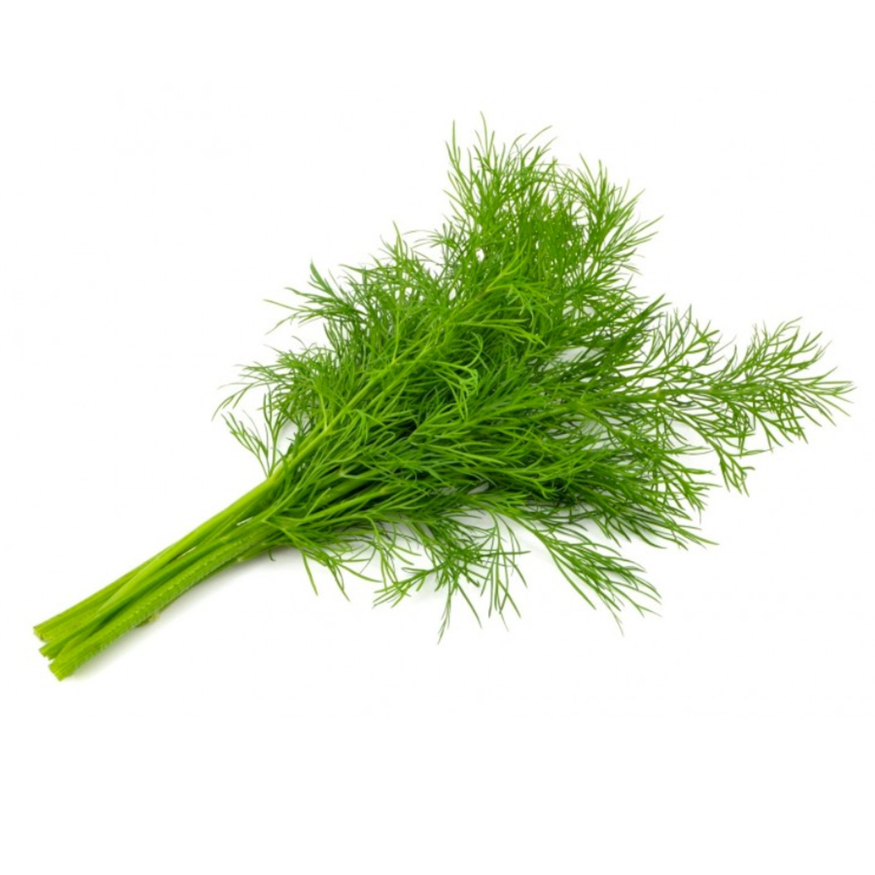 Koperek Pęczek 1szt. (expires soon)