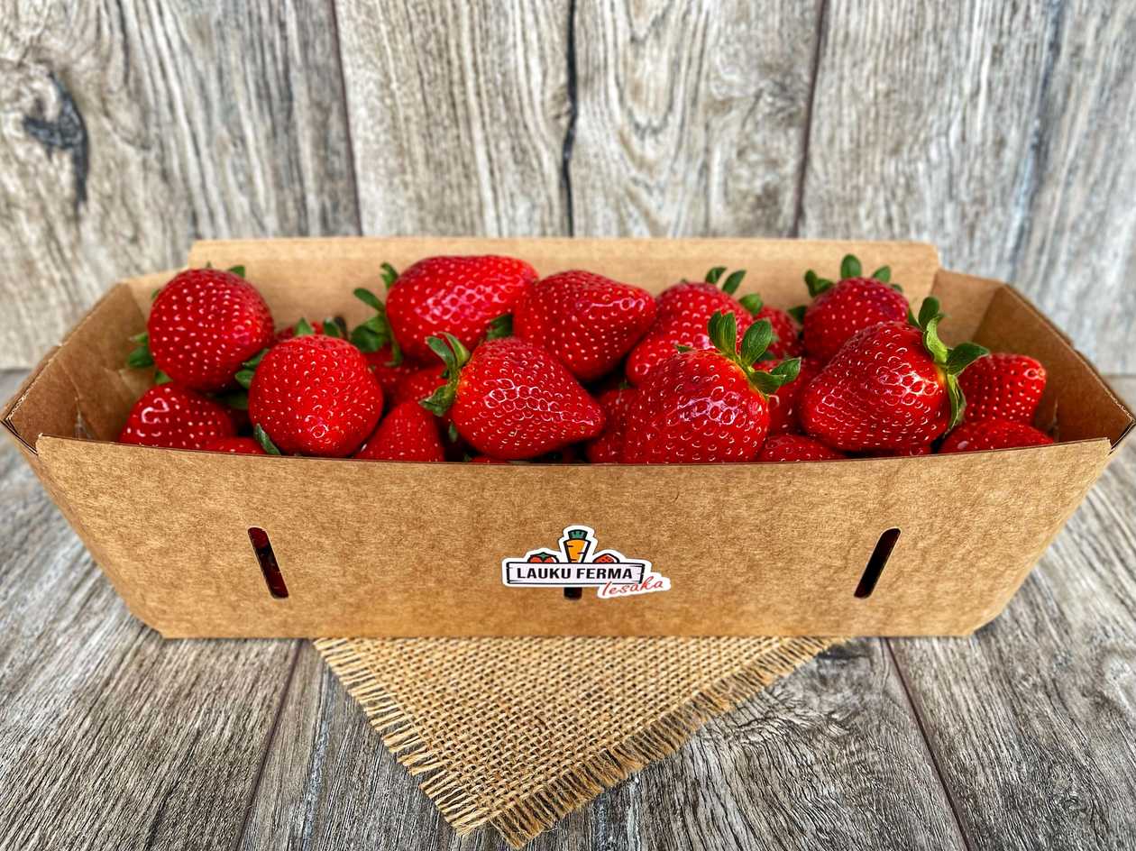 Zemenes Polija Extra Berry 🍓  [ 1 KG ]