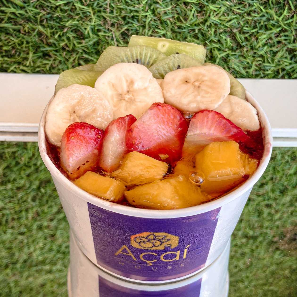 Açaí - Frutas (360ml)