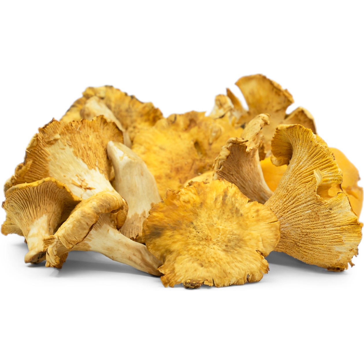 Eesti kukeseened karbis, 300g (aegub peagi)
