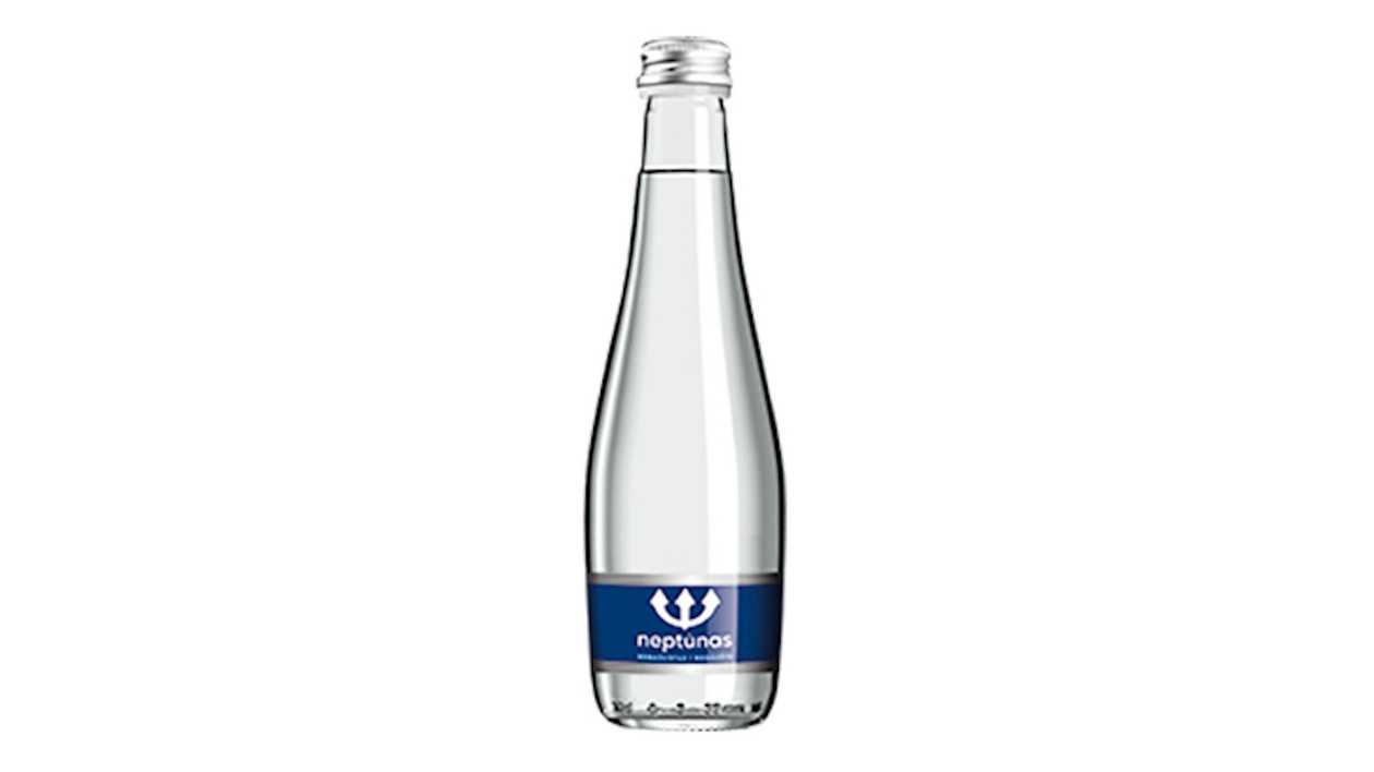 Neptūnas negazuotas 0,3 l