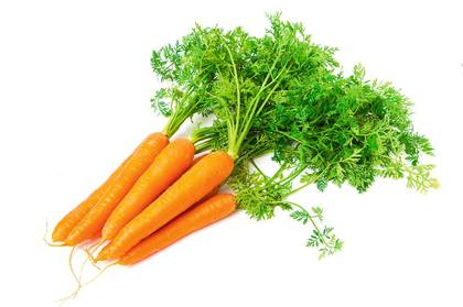 Freshly squeezed carrot juice 250 ml