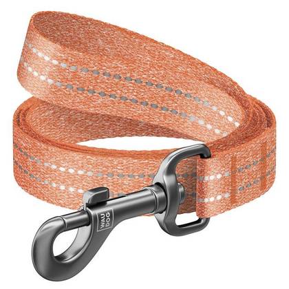 Reflective dog collar from WAUDOG Re-cotton