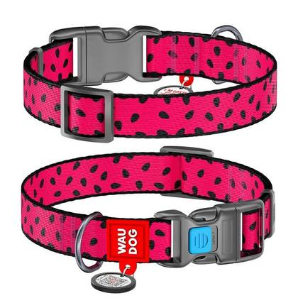 Nylon dog collar with WAUDOG Nylon QR passport