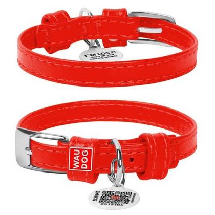 Leather dog collar WAUDOG Glamor with QR passport